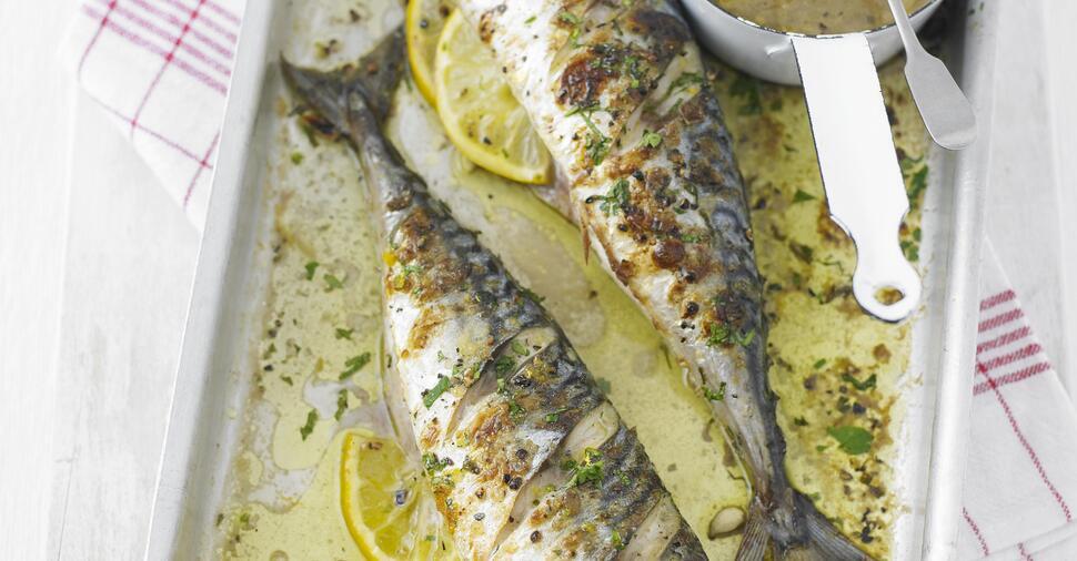 Grilled Mackerel with Rhubarb Sauce